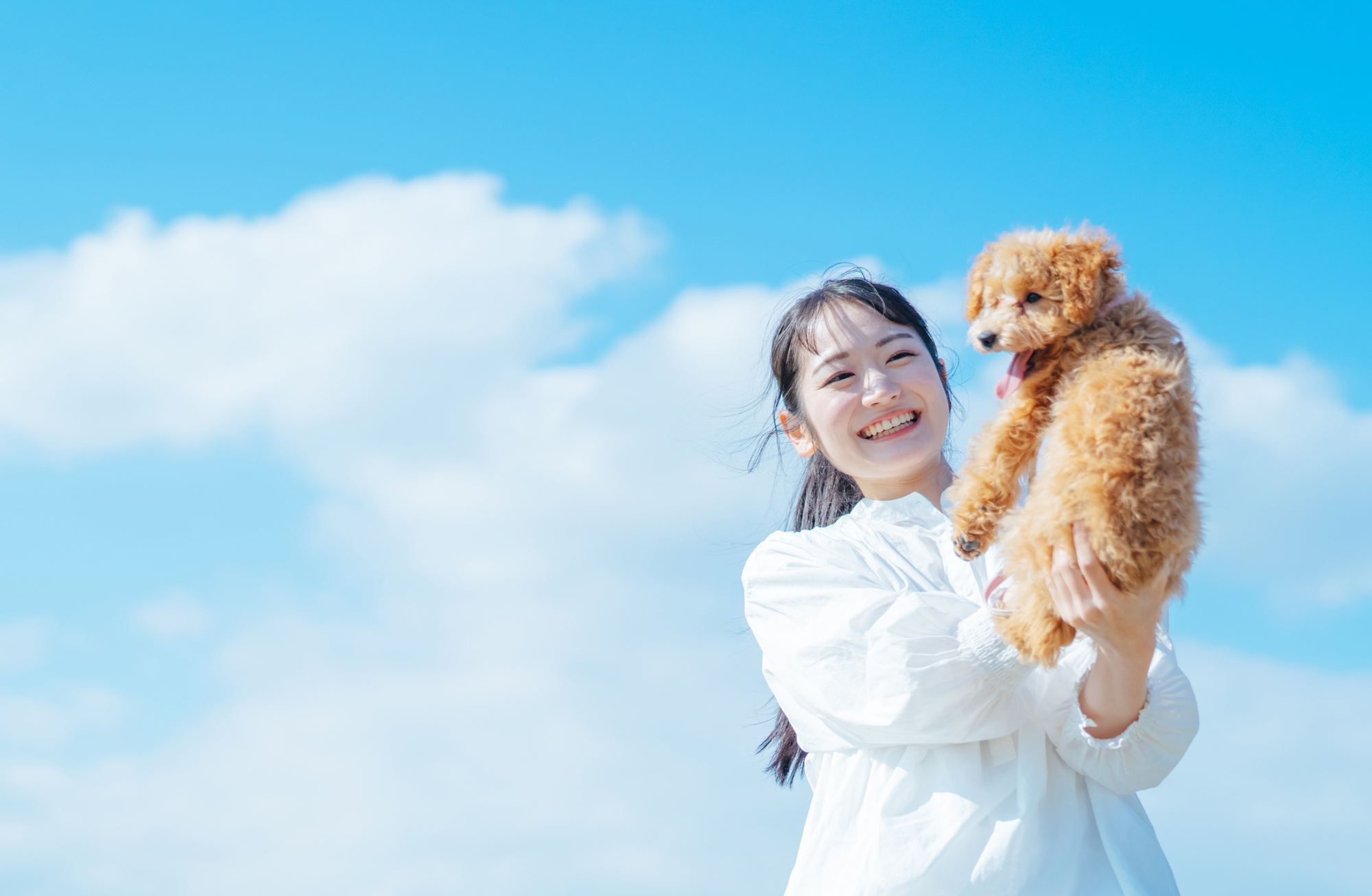 青空の下でトイプードルを抱き上げて笑う女性