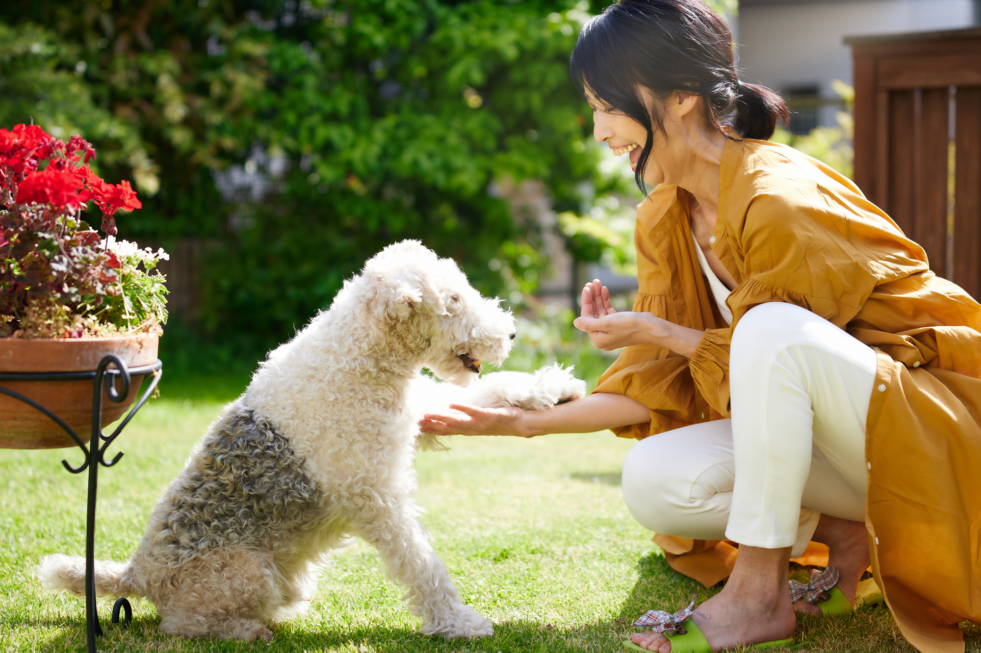 庭先で犬とふれあう飼い主